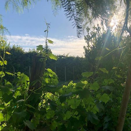 Tikaykilla Lodge & Wines 마이푸 외부 사진