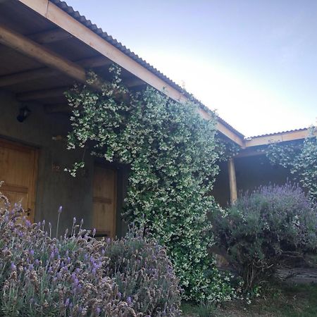 Tikaykilla Lodge & Wines 마이푸 외부 사진