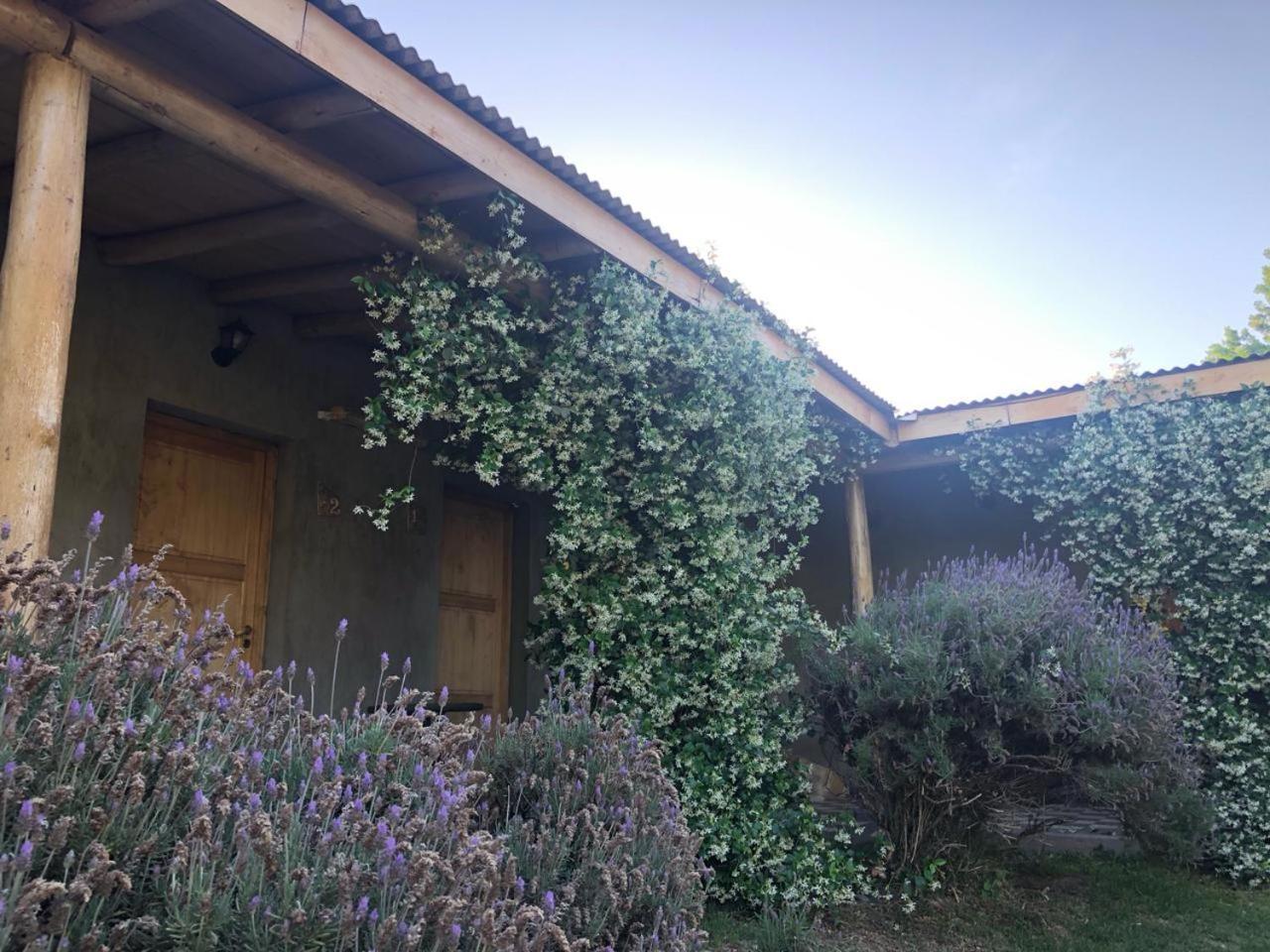 Tikaykilla Lodge & Wines 마이푸 외부 사진